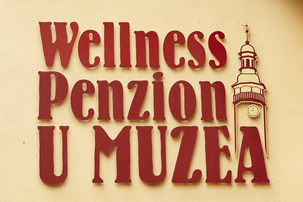 Wellness Penzion U Muzea Ξενοδοχείο Λίμπερεκ Εξωτερικό φωτογραφία